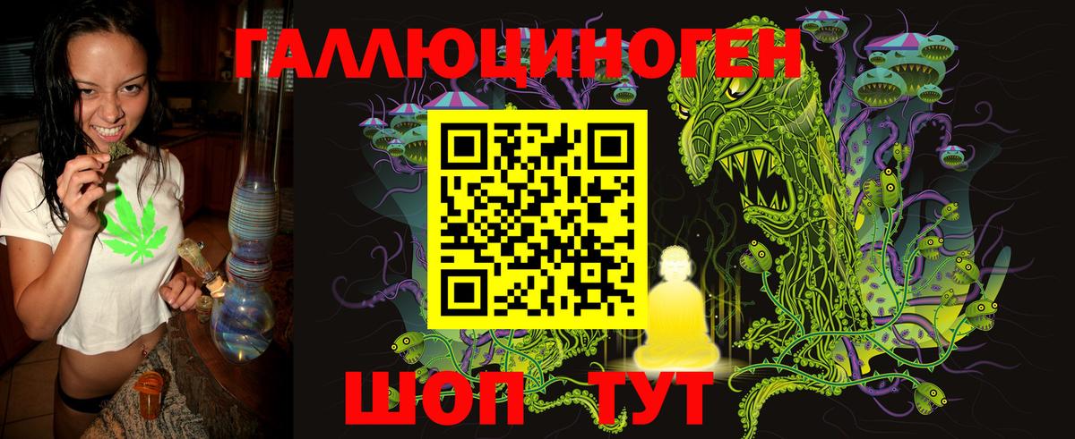 Галлюциногенные грибы Psilocybe  Вход с VPN  Дзержинский 